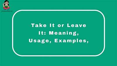 Meaning of Take It or Leave It by the Strokes