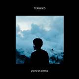 Meaning of Terrified (Zikomo Remix) by Childish Gambino