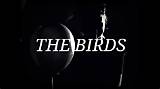 Meaning of the Birds Pt. 1 by the Weeknd