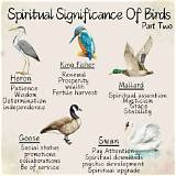 Meaning of the Birds Pt. 2 by the Weeknd