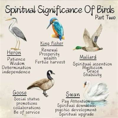 Meaning of the Birds Pt. 2 by the Weeknd