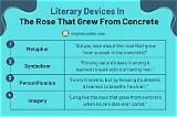Meaning of the Rose That Grew from Concrete by 2Pac