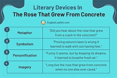 Meaning of the Rose That Grew from Concrete by 2Pac
