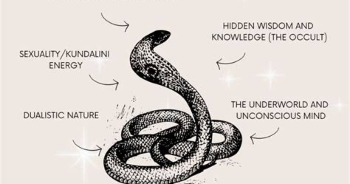 Meaning of the Snake by Eric