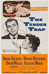 Meaning of the Tender Trap by Frank Sinatra