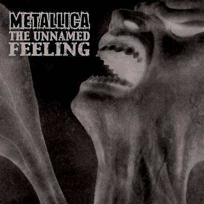 Meaning of the Unnamed Feeling by Metallica