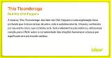 Meaning of This Ticonderoga by Red Hot Chili Peppers