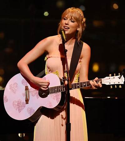 Meaning of Time 100: Taylor Swift (2019) by Shawn Mendes