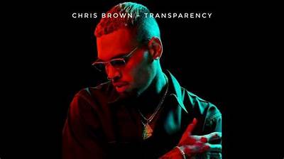 Meaning of Transparency by Chris Brown
