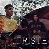 Meaning of Triste by Ivan Cornejo