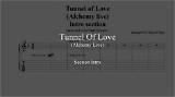 Meaning of Tunnel of Love [Alchemy] by Dire Straits