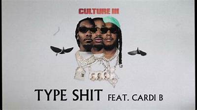 Meaning of Type Shit by Cardi B