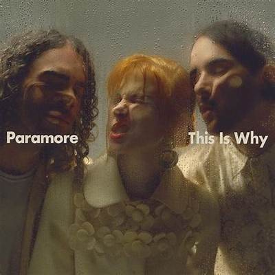 Meaning of Use Somebody by Paramore