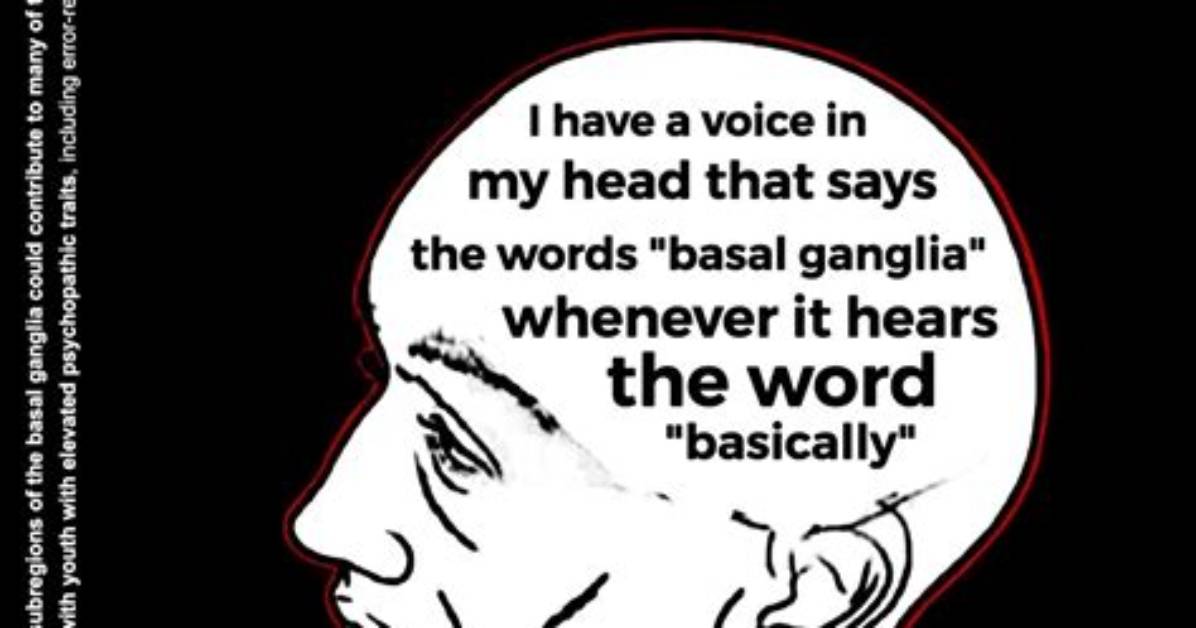 Meaning of Voices in My Head Stick to the Plan by Big