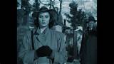 Meaning of Watching the Detectives by Duran Duran
