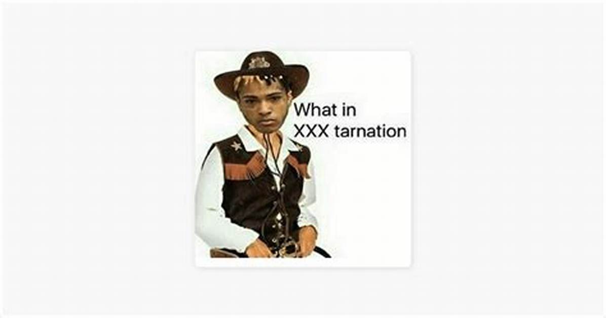 Meaning of What in Xxxtarnation By