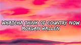 Meaning of Whatcha Think of Country Now by Morgan Wallen