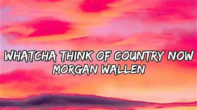 Meaning of Whatcha Think of Country Now by Morgan Wallen