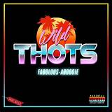 Meaning of Wild Thots by Dj Khaled