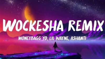 Meaning of Wockesha (Remix) by Lil Wayne