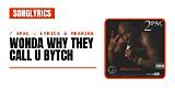 Meaning of Wonda Why They Call U Bitch by 2Pac