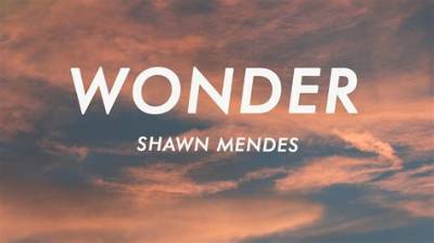 Meaning of Wonder by Shawn Mendes