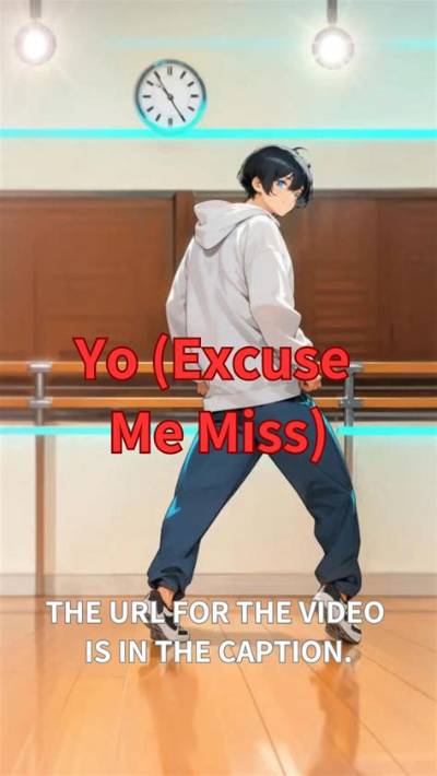 Meaning of Yo (Excuse Me Miss) [South Rakkas Reggaeton Mix] by Chris Brown