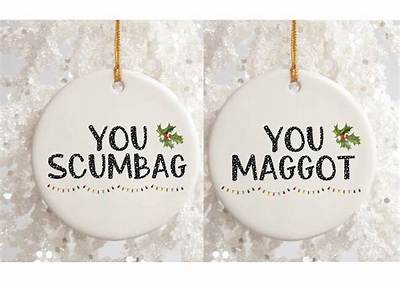 Meaning of You Scumbag You Maggot Christmas by the Pogues
