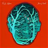 Meaning of Young Blood by Noah Kahan