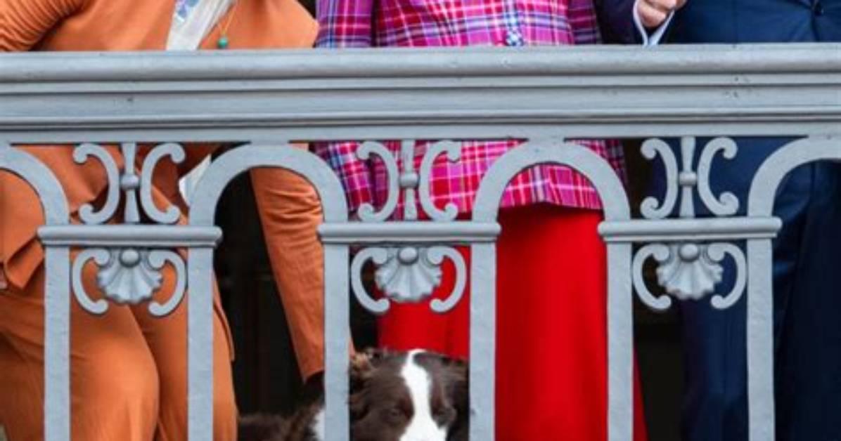 Meghan Markle's Dogs: a Royal Companion's Story