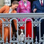 Meghan Markle's Dogs: a Royal Companion's Story