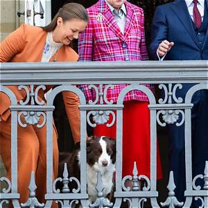 Meghan Markle's Dogs: a Royal Companion's Story