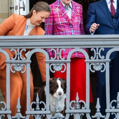 Meghan Markle's Dogs: a Royal Companion's Story
