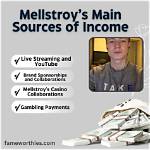 Melstroy Net Worth | the Ultimate Guide to His Wealth