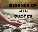 Memorable Quotes: Capturing the Essence of Life