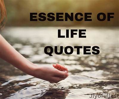 Memorable Quotes: Capturing the Essence of Life