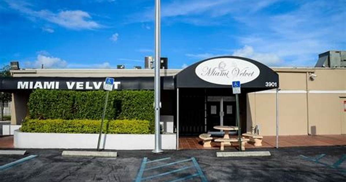 Miami Velvet: a Vibrant Haven of Entertainment and Luxury