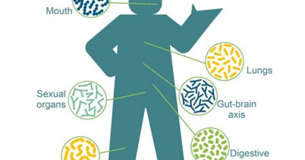 Microbiome