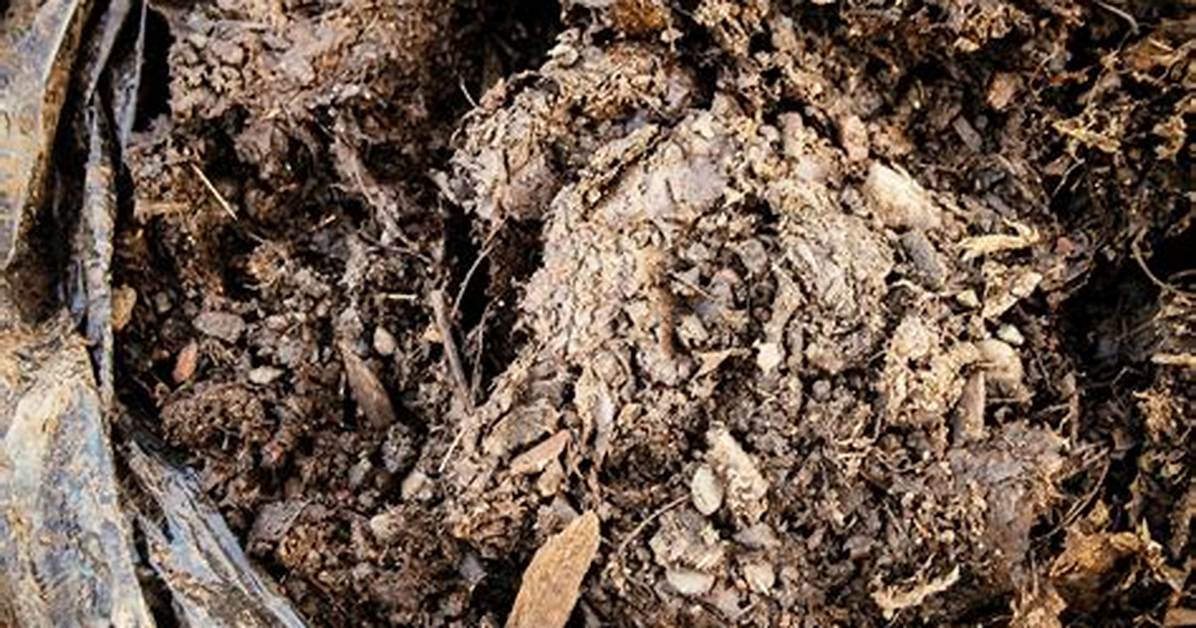 Mold in Compost Piles