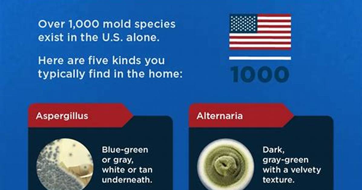 Mold In