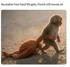 Monkey Punch Meaning: Exploring the Origin, Usage, and Cultural Significance