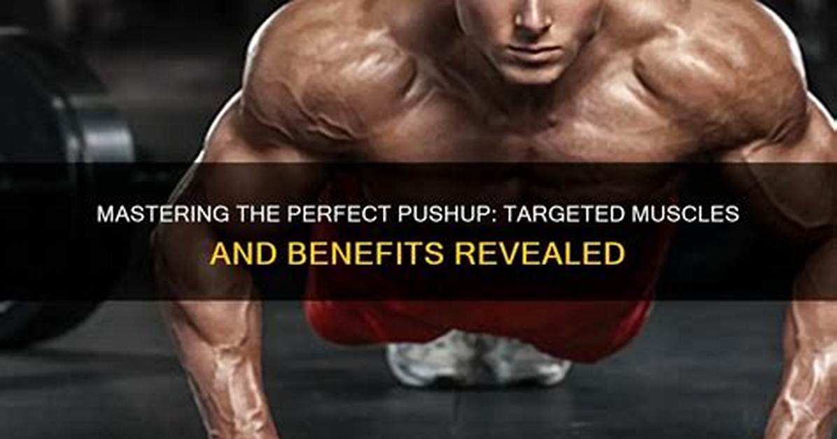 Muscles Targeted and Benefits Revealed