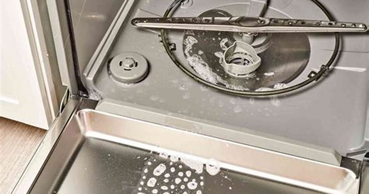 My Ge Potscrubber Dishwasher Is Leaking