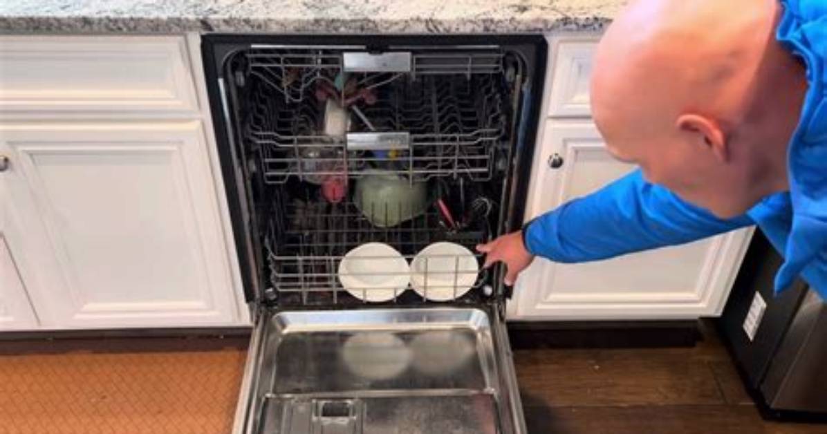 My Kitchenaid Dishwasher Door Opens