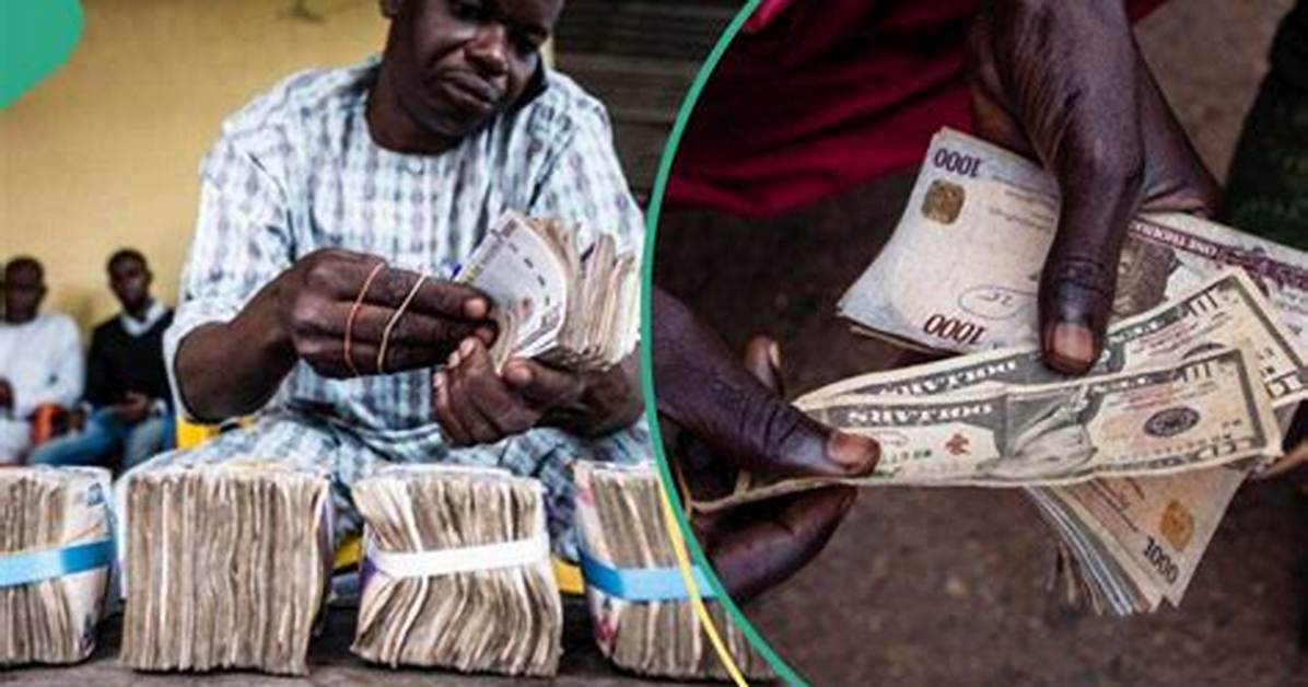 Naira Bounces Back Gains over N100 Against Dollar in Black Market Traders Quote New