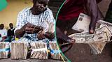 Naira Bounces Back, Gains over N100 Against Dollar in Black Market, Traders Quote New Exchange Rate