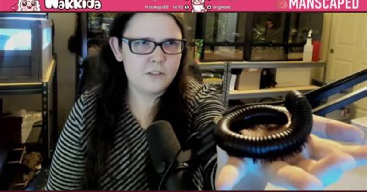 Nakkida Twitch Face: Everything to Know About