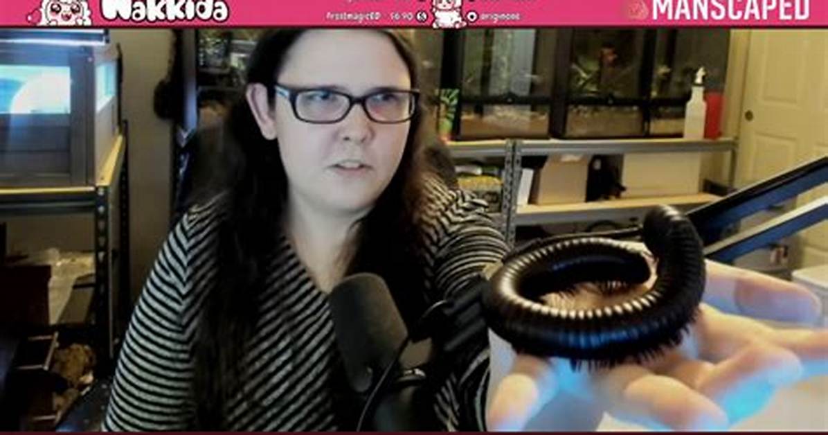 Nakkida Twitch Face Everything To