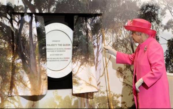 Nancy Sidley: the Extraordinary Journey of a Renowned Philanthropist and Visionary Leader