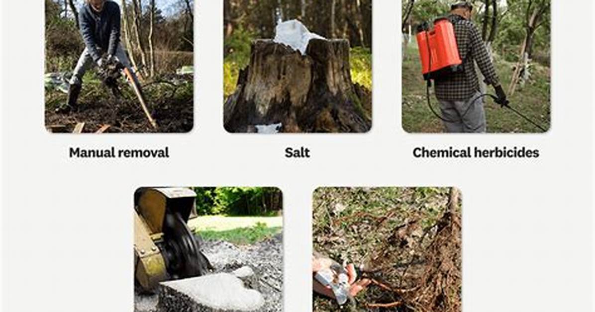 Natural Methods of Killing